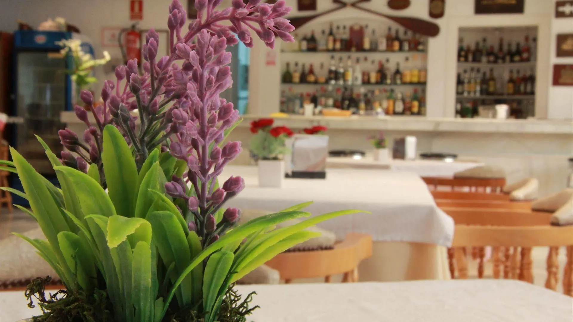 Del Mar Hotel & Spa El Puerto de Santa Maria Spain